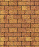 Тротуарная плитка ПРЯМОУГОЛЬНИК (Б.2.П.6) Листопад гранит Каир
